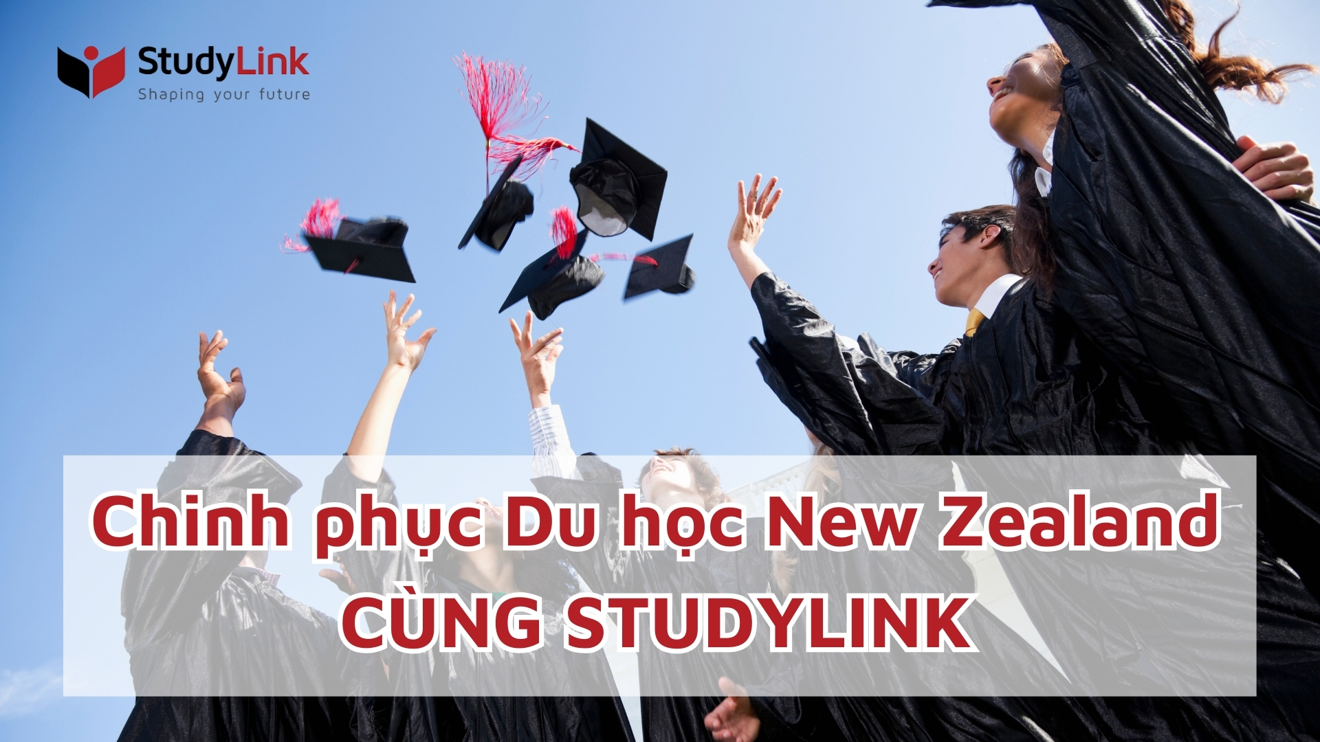 Dat_dieu_kien_du_hoc_New_Zealand_de_dang_voi_StudyLink