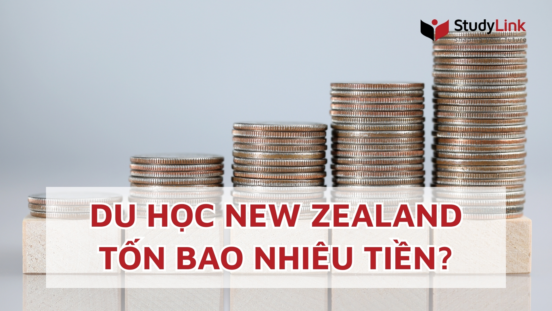 Du_hoc_New_Zealand_ton_bao_nhieu_tien