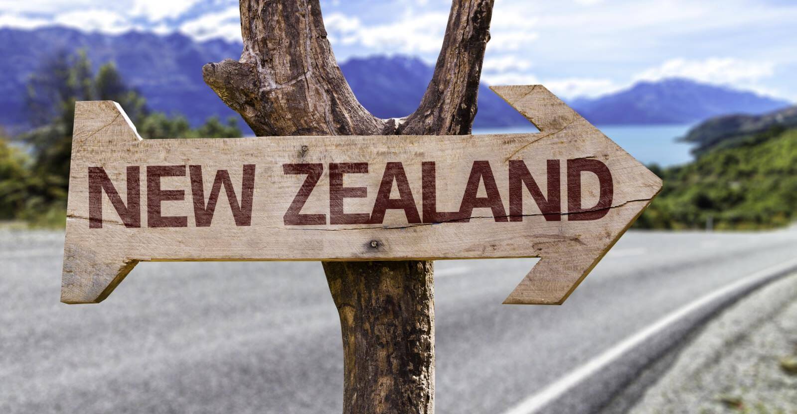 go_to_nz1